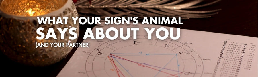 Unleashing the Zodiac: What Your Sign's Animal Says About You (and your partner).