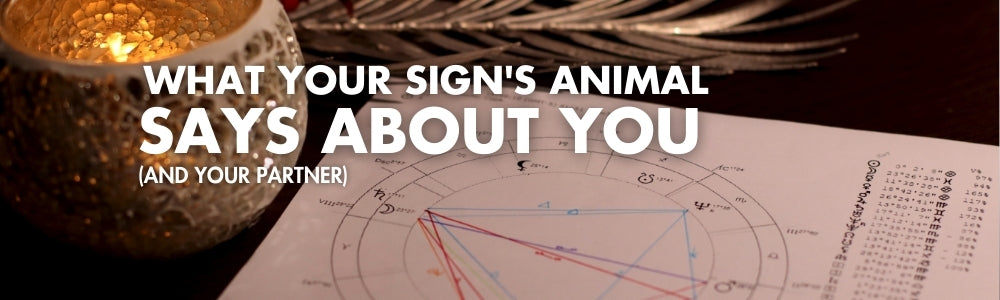 Unleashing the Zodiac: What Your Sign's Animal Says About You (and your partner).